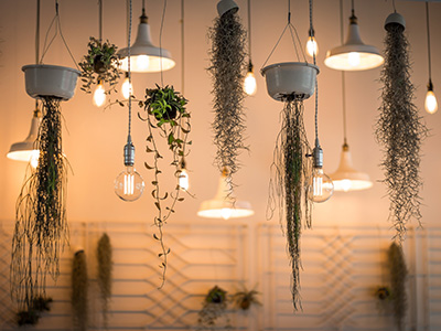 价格优势的在线轰炸机